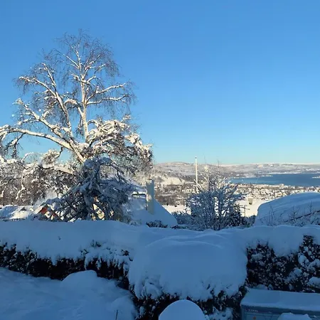 Spacious Family With Great View Of Mjosa ヴィラ *